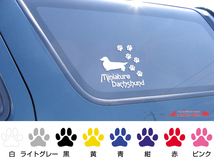 肉球いっぱい 犬のステッカー チャイニーズクレステッドドッグ ヘアレス (Lサイズ) DOG 犬 シール_画像3