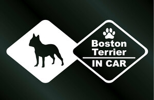 犬のステッカー ボストンテリア IN CAR DOG 犬 シール