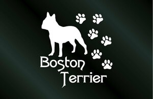 肉球いっぱい 犬のステッカー ボストンテリア (Lサイズ) DOG 犬 シール