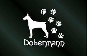 肉球いっぱい 犬のステッカー ドーベルマン (Sサイズ) DOG 犬 シール