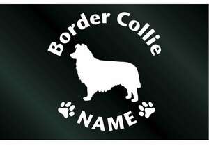 名前入り 犬のステッカー ボーダーコリー (Sサイズ) DOG 犬 シール
