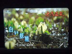  telephone card 50 times earth hot water hot spring white ... rice field marsh hing. water .. flower unused T-2450