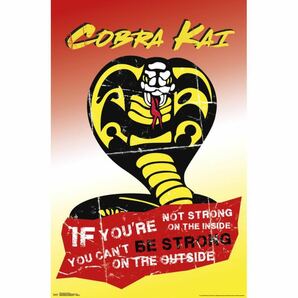 Cobra Kai コブラカイ ポスター 海外版