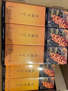 新品未開封 豊潤サジー