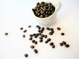 コーヒー自家焙煎　星の屑焙煎ー　グアテマラ　パストーレス ピーベリー　注文後焙煎　100g　送料込み！