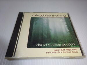 David & Steve Gordon★Misty Forest Morning（輸入盤）★2枚同梱180円