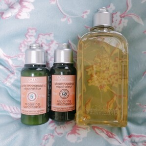 ロクシタン L'OCCITANE ロクシタン シャワージェル シャンプー コンディショナー