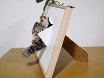 ★銀★ 羊毛フェルト 猫 ハンドメイド キジトラ猫　壁から覗く猫　壁掛け　置物_画像8
