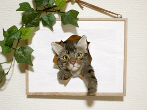★銀★ 羊毛フェルト 猫 ハンドメイド キジトラ猫　壁から覗く猫　壁掛け　置物