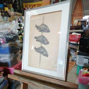 Art hand Auction 연필화 연필 사인 세 마리의 물고기 모토무라 미술, 삽화, 그림, 연필 드로잉, 목탄 그림