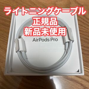 Apple正規品 ライトニングケーブル USB-C to Lightning