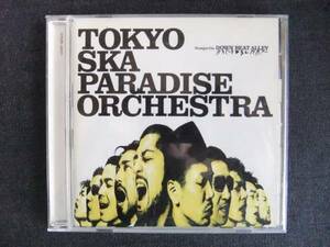 CDアルバム-4　　東京スカパラダイスオーケストラ　Stompin' On DOWN BEAT ALLEY　Tokyo Ska Paradise Orchestra