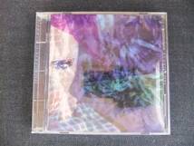 CDアルバム-4　　　PIERROT　　CELLULOID 　ピエロ　　帯付　インディーズ　歌手　音楽　ヴィジュアル系ロックバンド_画像1