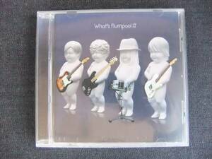 CDアルバム-4　　　flumpool　　What's flumpool!?　　フランプール　　歌手　音楽　　ロックバンド