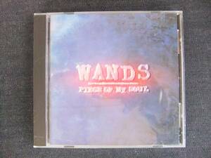 CD album -4 WANDS PIECE OF MY SOUL one z singer music band 