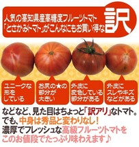 限定1箱！高知県夜須産【とさかみトマト】約3kg 高糖度 夜須のフルーツトマト！！！_画像5