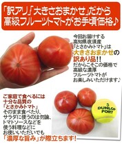 限定1箱！高知県夜須産【とさかみトマト】約3kg 高糖度 夜須のフルーツトマト！！！_画像7