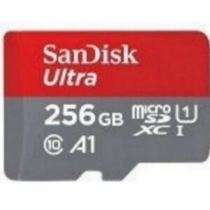 SanDisk microSDXC　256GB 