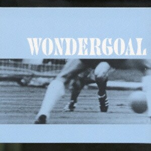 ＊中古CD V.A./ワンダーゴールWONDER GOAL 2001年作品国内盤 ブリティッシュ・フットボール・コンピレーション ポリスターレコード