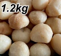 マカダミアナッツ　1.2kg 素焼き　無塩　無添加　美容　非常食　送料無料_画像1