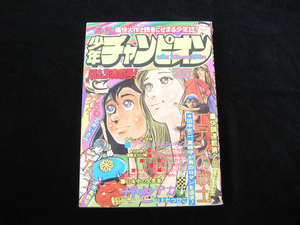 週刊少年チャンピオン・8月23日号・35・昭和51年・1976年・秋田書店・300ページ・中古品・143809