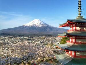  World Heritage гора Фудзи . Sakura .. -слойный . фотография A4 кроме того, 2L версия сумма имеется 