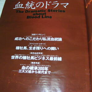 優駿 1999/１０  エルコンドルパサー フォワ賞速報 凱旋門賞展望 優駿フォトコンテスト 馬の絵展 入選作発表！！の画像6