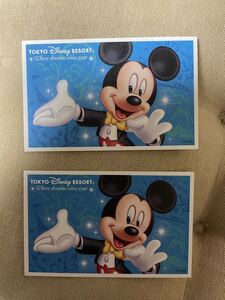 ディズニーリゾートチケット大人用2枚 1デーパスポート