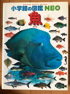 図鑑 NEO 小学館の図鑑 魚