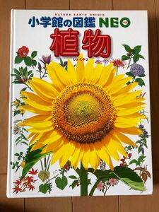 小学館の図鑑　NEO 植物　図鑑