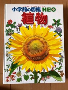 小学館の図鑑 NEO 植物 図鑑