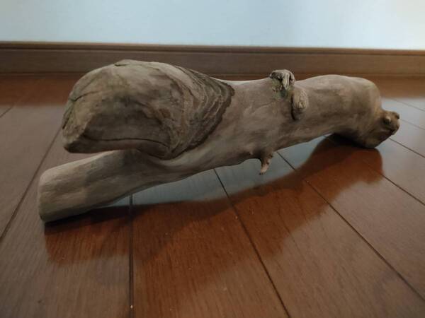 ☆天然流木 水槽 1点物 アクアリウム オブジェ アート 36×13×9.5cm 大和川 爬虫類 トカゲ ヘビ インテリア めだか 隠れ家
