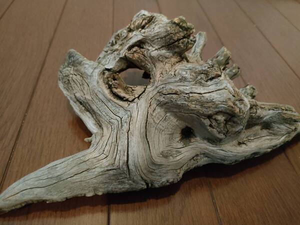 ☆天然流木 水槽 1点物 アクアリウム オブジェ アート 27×14.5×9.5cm 大和川 爬虫類 とかげ ヘビ インテリア めだか 隠れ家