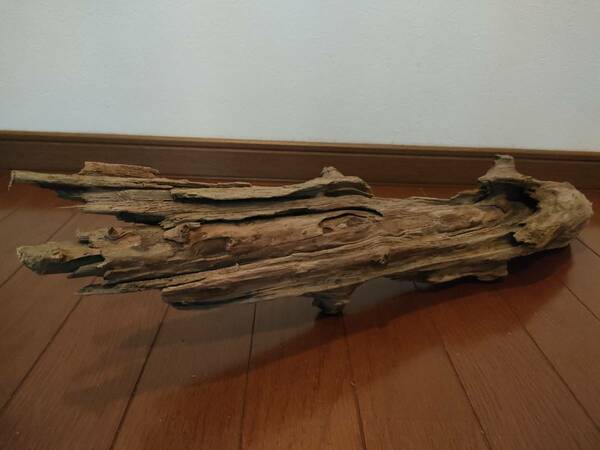 　☆天然流木 水槽 １点物 アクアリウム オブジェ アート 58×14×9cm 大和川　爬虫類 トカゲ　へび　インテリア　魚　隠れ家　めだか