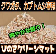 成虫管理にはコレ☆ふわふわの針葉樹クリーンマット10L☆ダニやコバエを寄せ付けない！ケース内が明るくなり生体が目立つ！抗菌防臭効果も_画像3