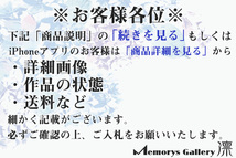 【MG凛】多くの名工が目指した桃山陶の油揚肌に辿り着いた黄瀬戸最高峰作家の逸品！『各務周海』 黄瀬戸茶碗 各務賢周識箱 栞 本物保証_画像3