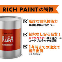 日産 ダークメタルグレーメタリック KAD 車 塗料 希釈なし ロックペイント 1液ベース プロ キズ 補修 修理 NISSAN 200g RICHPAINT_画像3