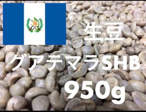 生豆 グアテマラ SHB 950g 自家焙煎に