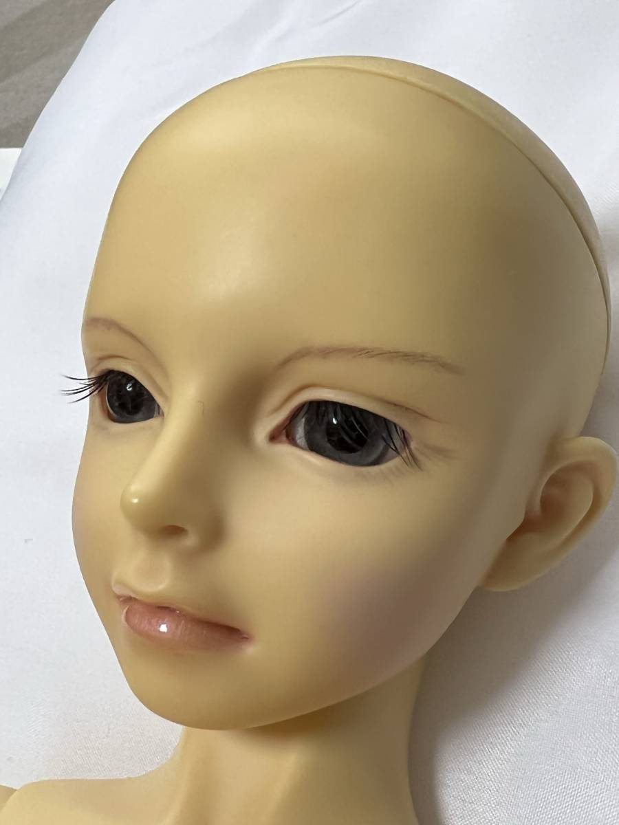 品質保証 スーパードルフィー SD13 教室Aヘッドと13少年ボディ ienomat