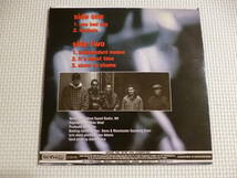 in line / one step colder■'96年Lost & Found限定ブルーヴィニール盤７”ep ハードコア hardcore ryker's pitbull ignite beowulf_画像2