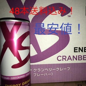 2ケース分(48本)Xsエナジードリンク クランベリー アムウェイ 賞味期限8ヶ月以上!