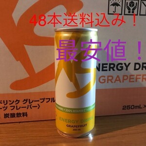 2ケース分(48本)Xsエナジードリンク グレープフルーツ アムウェイ 賞味期限8ヶ月以上!