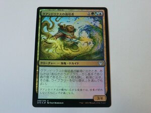 MTG 美品 【クアンドリクスの栽培者（FOIL）】 （アンコモン） STX 日 5枚迄