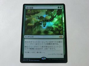 MTG 美品 【森の頌歌（FOIL）】 （レア） MH2 日 1枚迄