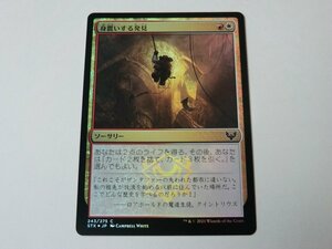 MTG 美品 【身震いする発見（FOIL）】 （コモン） STX 日 8枚迄