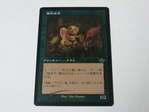 MTG 美品 【薄光の子（旧枠エッチングFOIL）】 （コモン） MH2 日 5枚迄