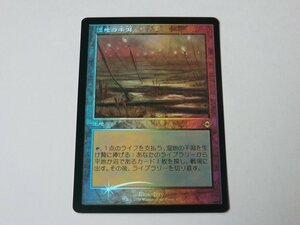 MTG 美品 【湿地の干潟（旧枠FOIL）】 （レア） MH2 日 5枚迄