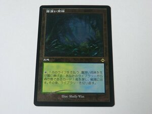 MTG 美品 【霧深い雨林（旧枠エッチングFOIL）】 （レア） MH2 日 4枚迄