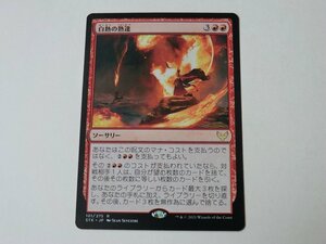 MTG 美品 【白熱の熟達】 （レア） STX 日 9枚迄