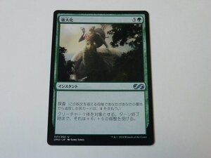 MTG 美品 【強大化】 （アンコモン） UMA 日 1枚迄